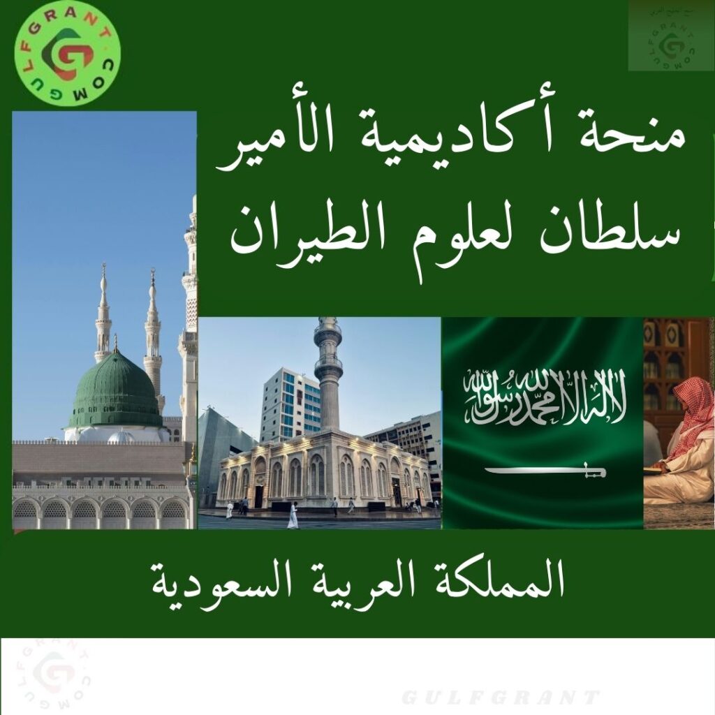 منحة أكاديمية الأمير سلطان لعلوم الطيران