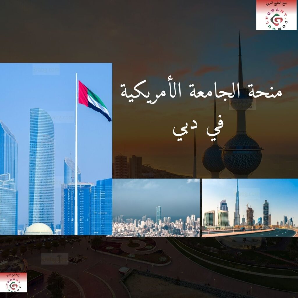 منحة الجامعة الأمريكية في دبي