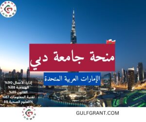 منحة جامعة دبي