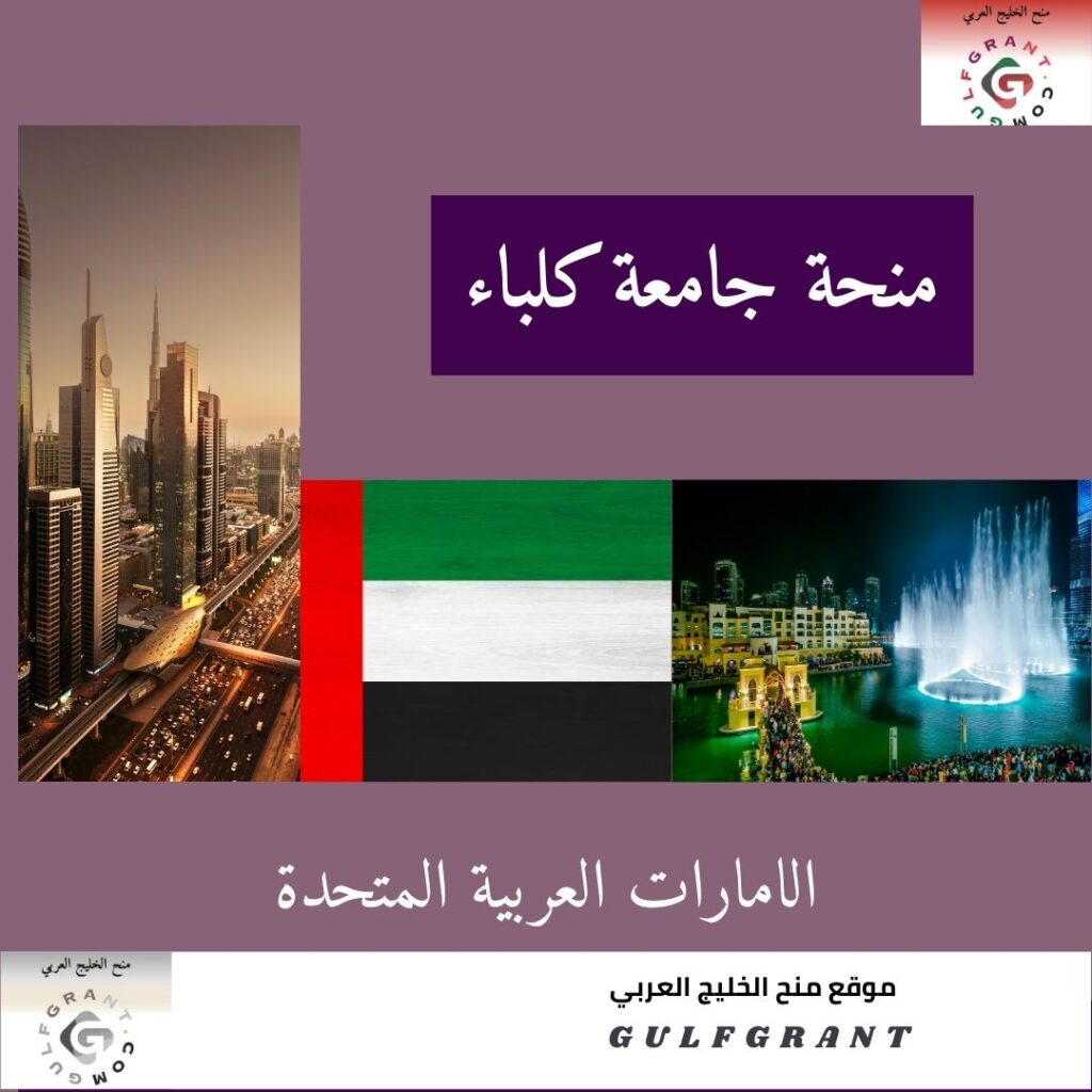 منحة جامعة كلباء