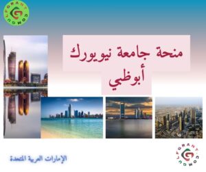 منحة جامعة نيويورك أبوظبي
