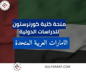 منحة كلية كورنرستون للدراسات الدولية