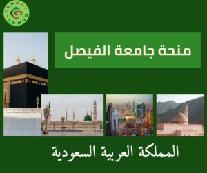 منحة جامعة الفيصل