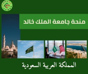 منحة جامعة الملك خالد