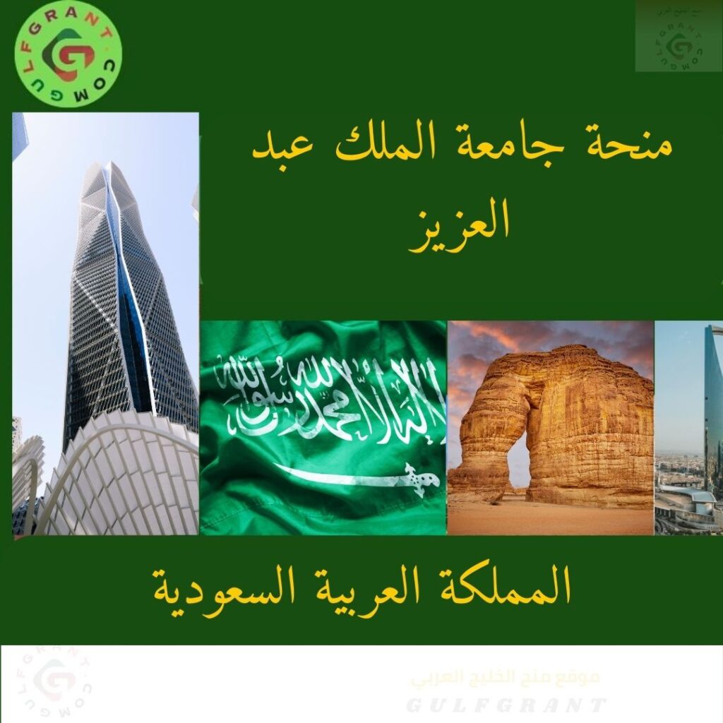 منحة جامعة الملك عبد العزيز
