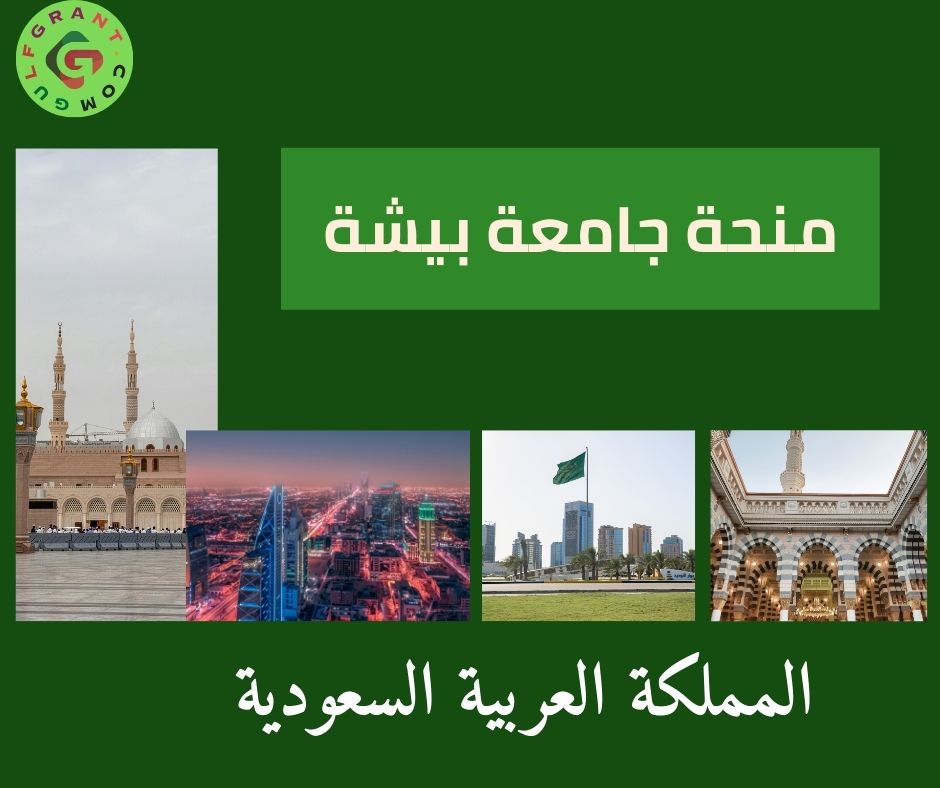 منحة جامعة بيشة