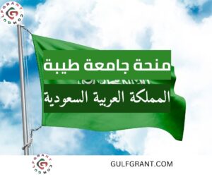 منحة جامعة طيبة