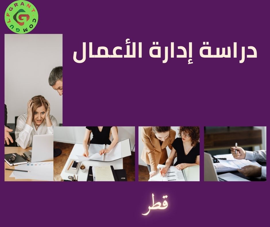 دراسة إدارة الأعمال في قطر