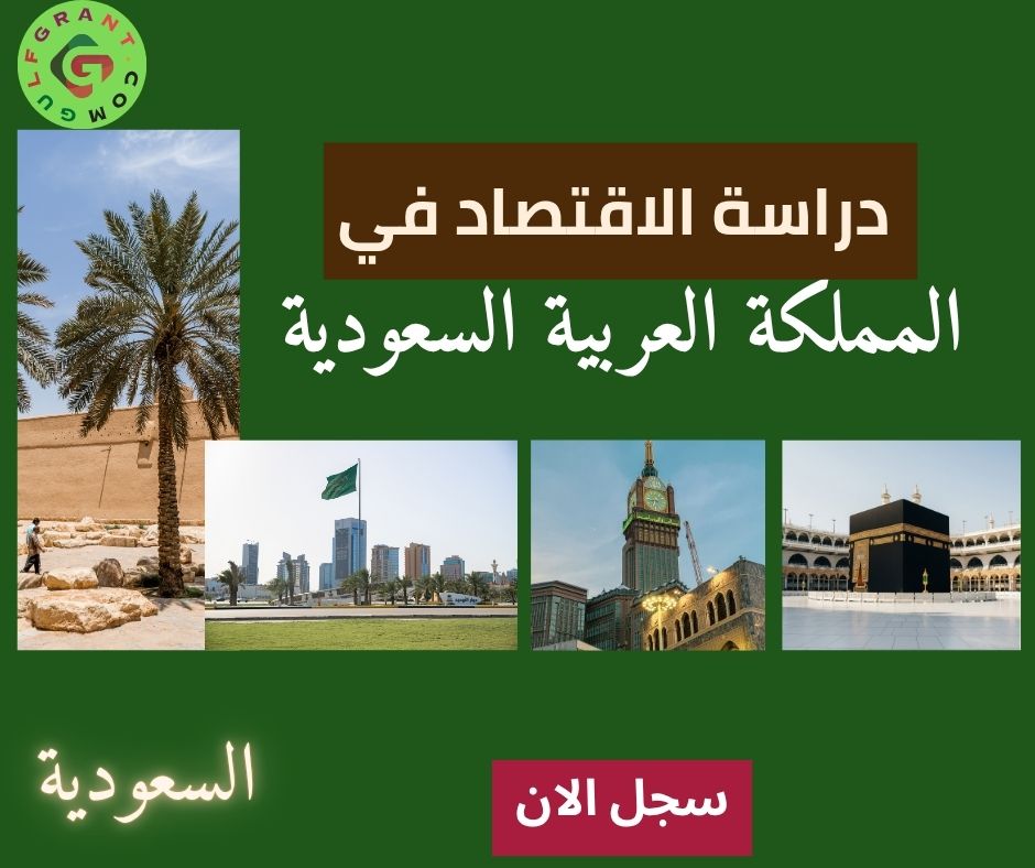 دراسة الاقتصاد في المملكة العربية السعودية