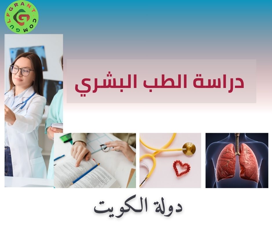 دراسة الطب البشري في الكويت