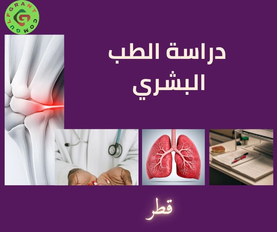 دراسة الطب البشري في قطر