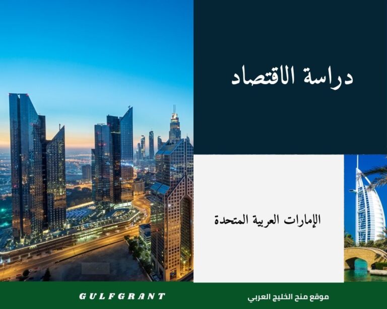 دراسة الاقتصاد في الإمارات العربية المتحدة