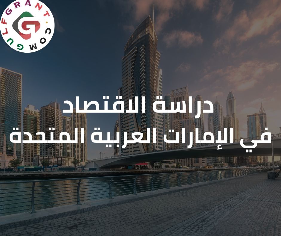 دراسة الاقتصاد في الإمارات العربية المتحدة