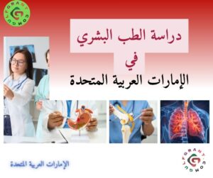 دراسة الطب البشري في الإمارات العربية المتحدة