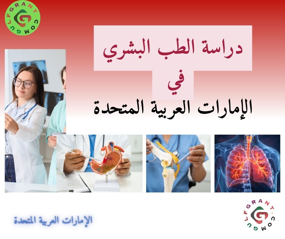 دراسة الطب البشري في الإمارات العربية المتحدة