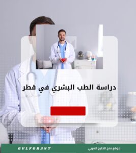 دراسة الطب البشري في قطر