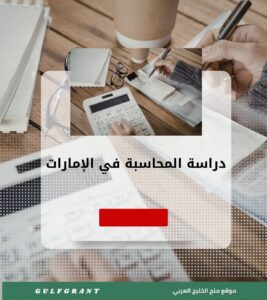 دراسة المحاسبة في الإمارات