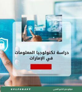 دراسة تكنولوجيا المعلومات في الإمارات