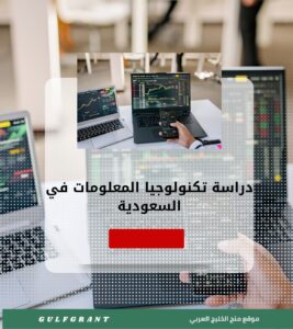 دراسة تكنولوجيا المعلومات في السعودية
