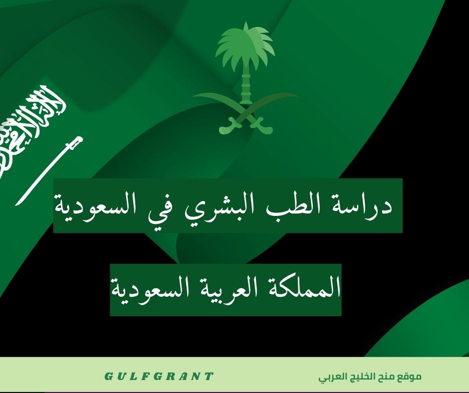 دليل دراسة الطب البشري في السعودية