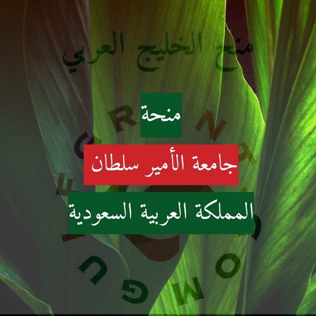 منحة جامعة الأمير سلطان