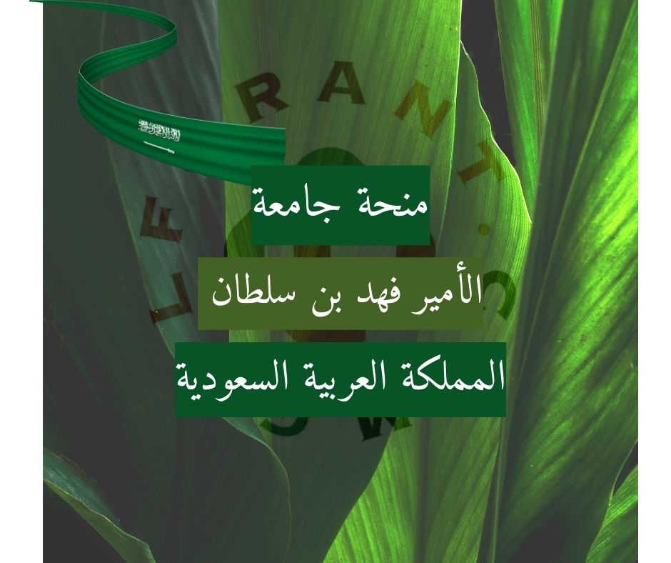 الأمير فهد بن سلطان