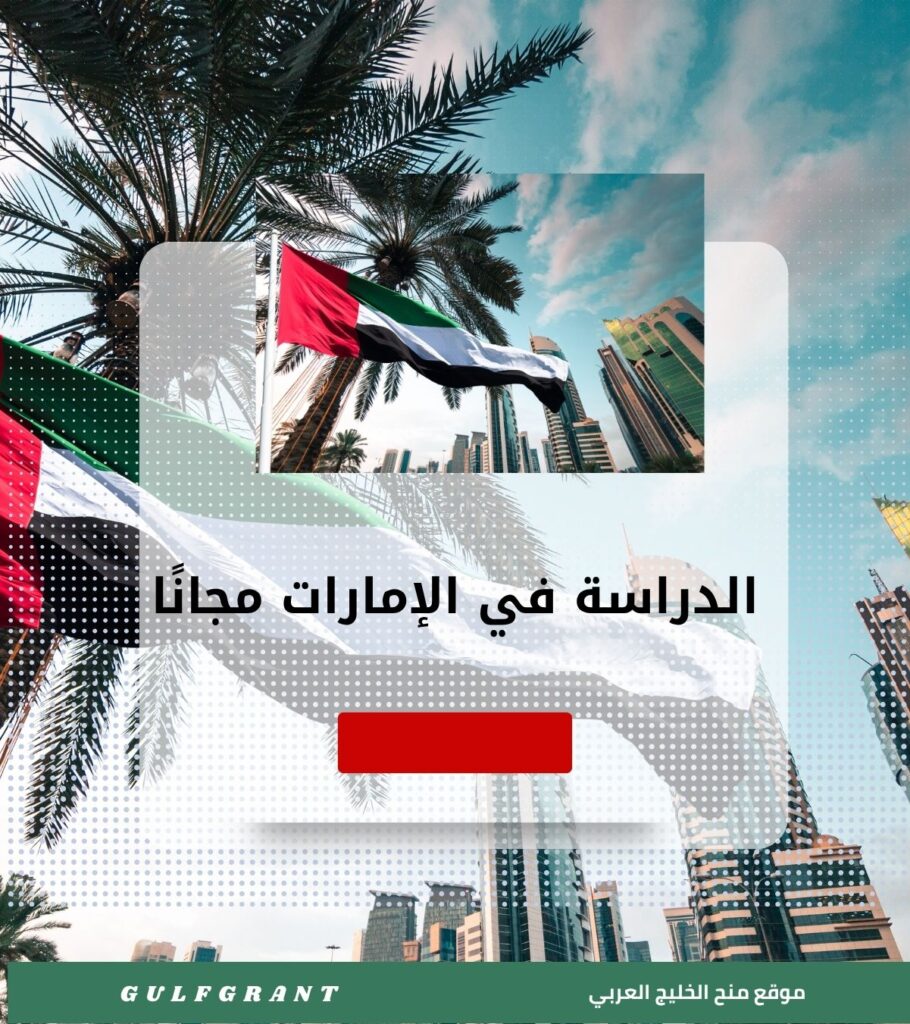 الدراسة في الإمارات مجانًا