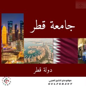 جامعة قطر البرامج والتقديم