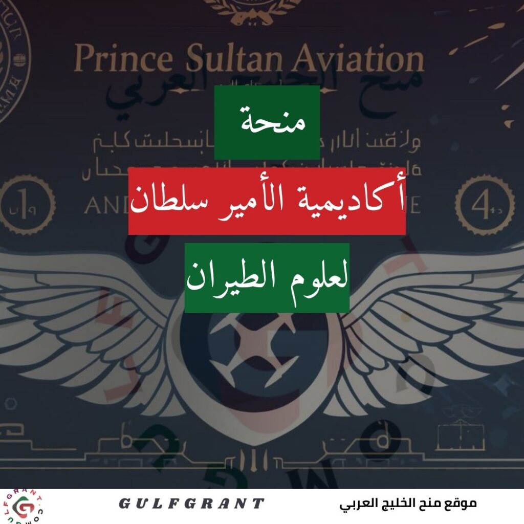 منحة أكاديمية الأمير سلطان لعلوم الطيران