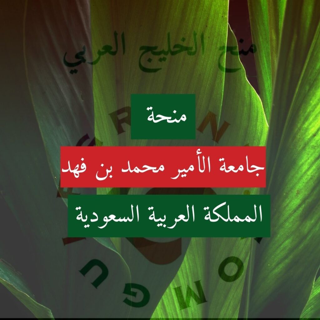 منحة جامعة الأمير محمد بن فهد