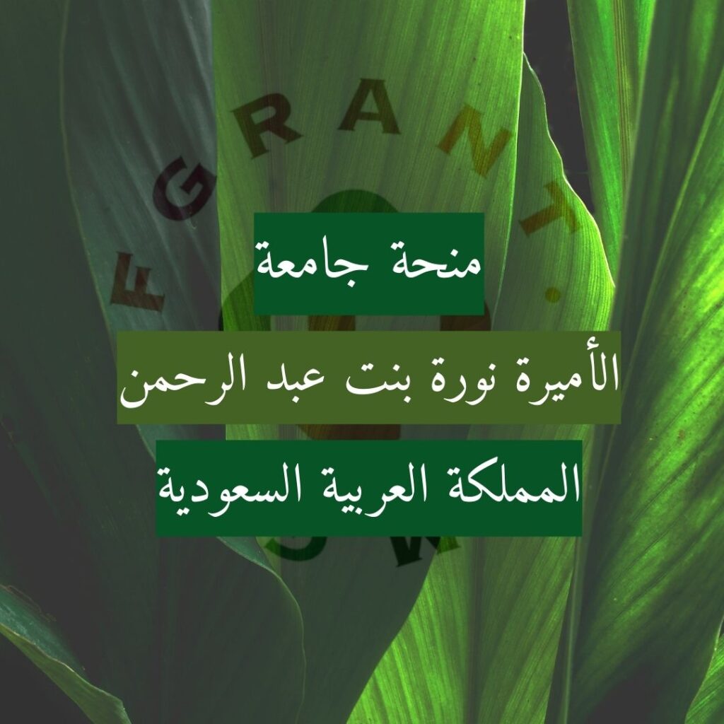 منحة جامعة الأميرة نورة بنت عبد الرحمن