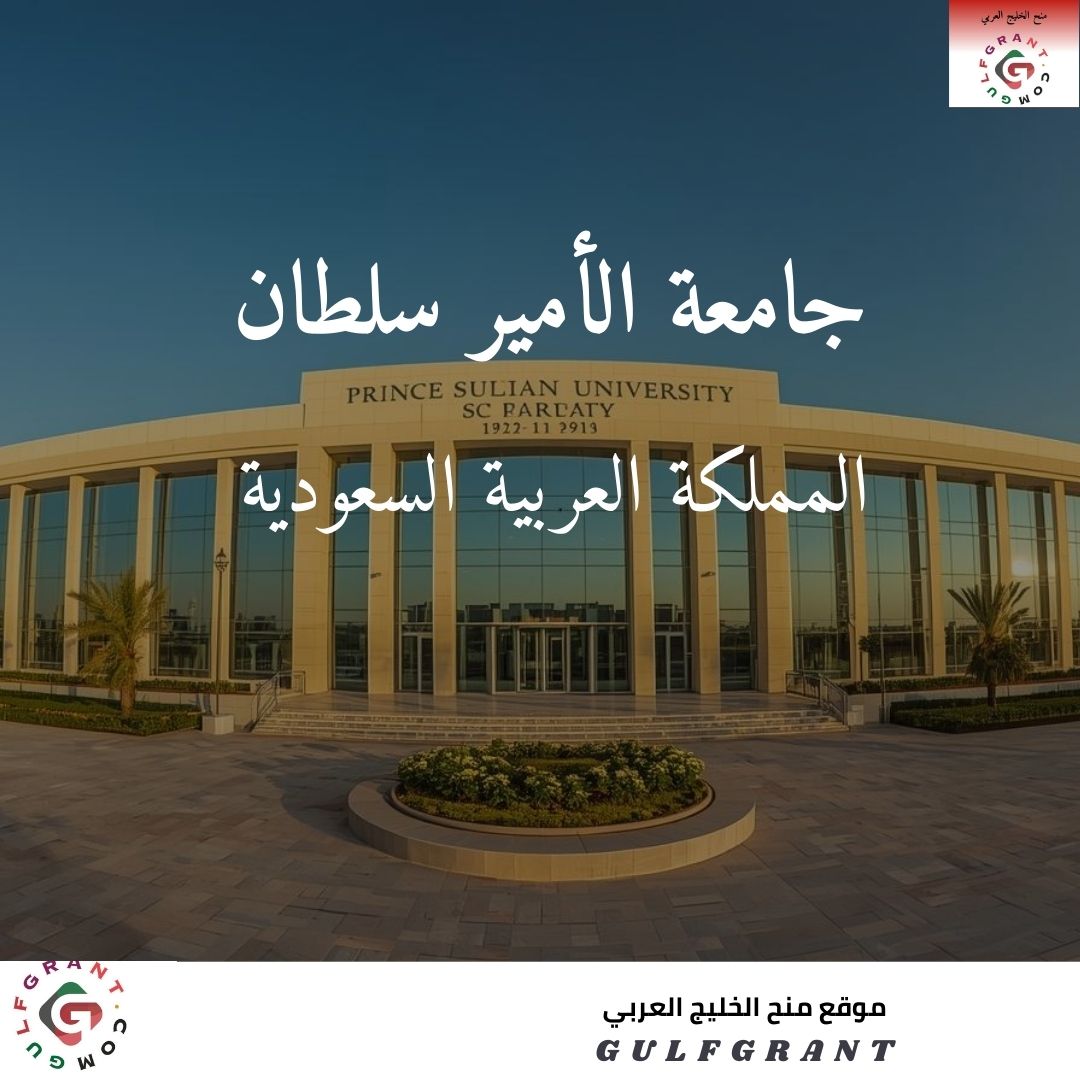 جامعة الأمير سلطان