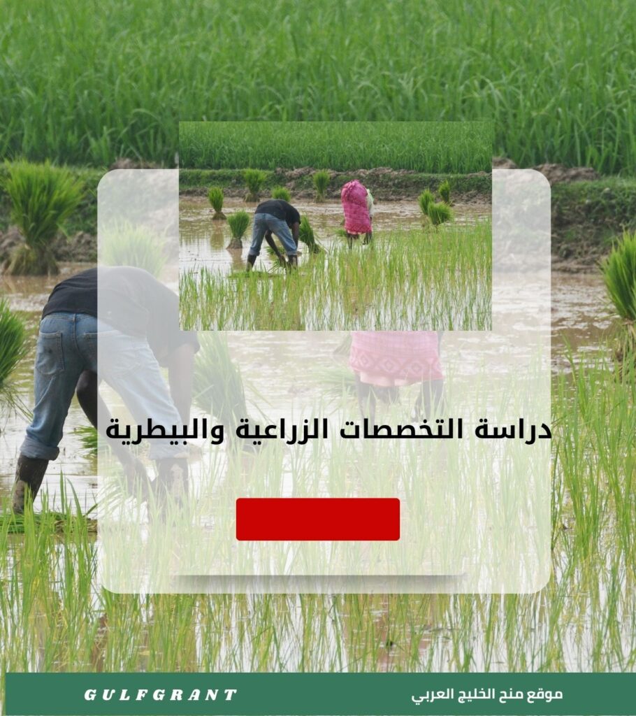 دراسة التخصصات الزراعية والبيطرية في سلطنة عمان