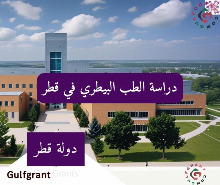 دراسة الطب البيطري في قطر