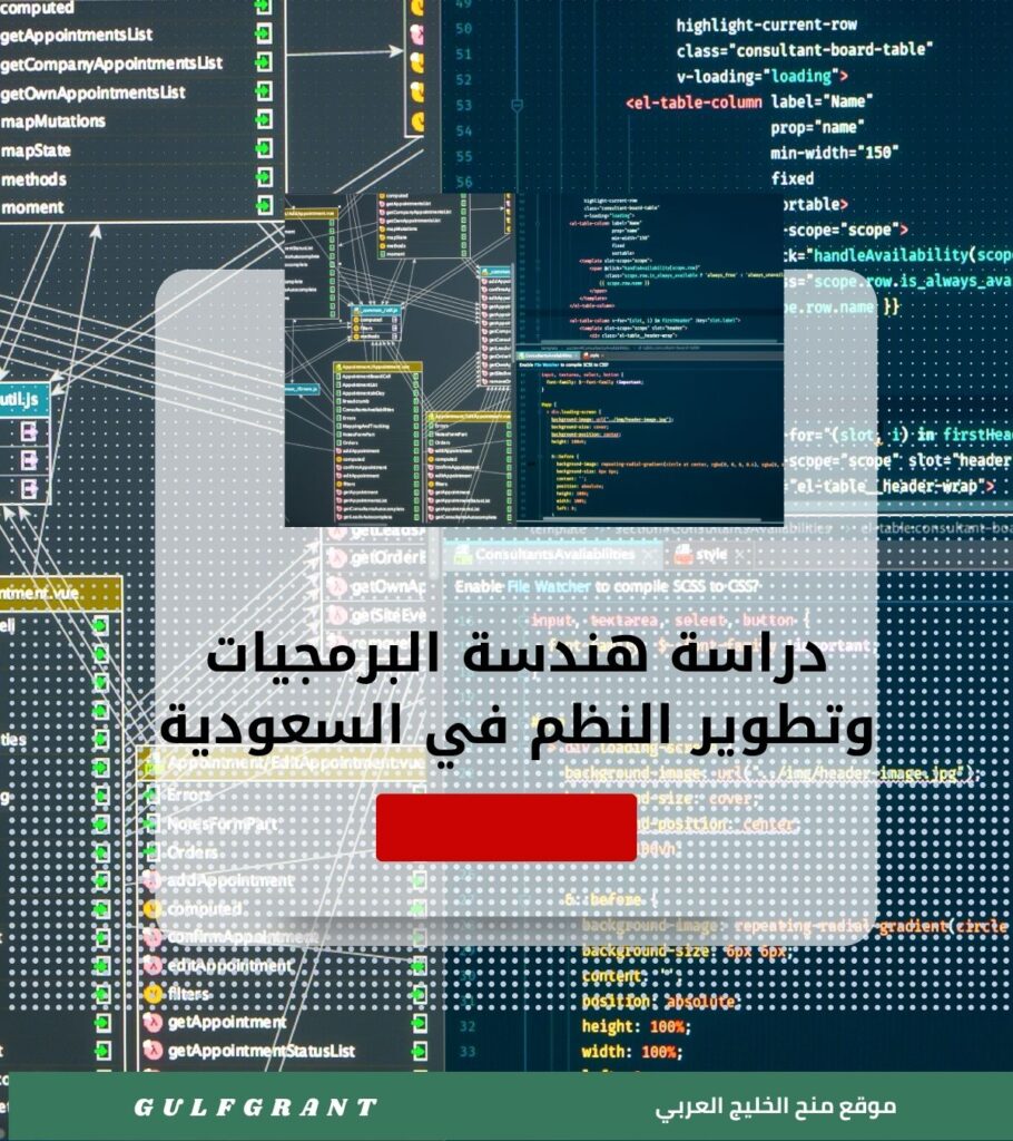 دراسة هندسة البرمجيات وتطوير النظم في السعودية