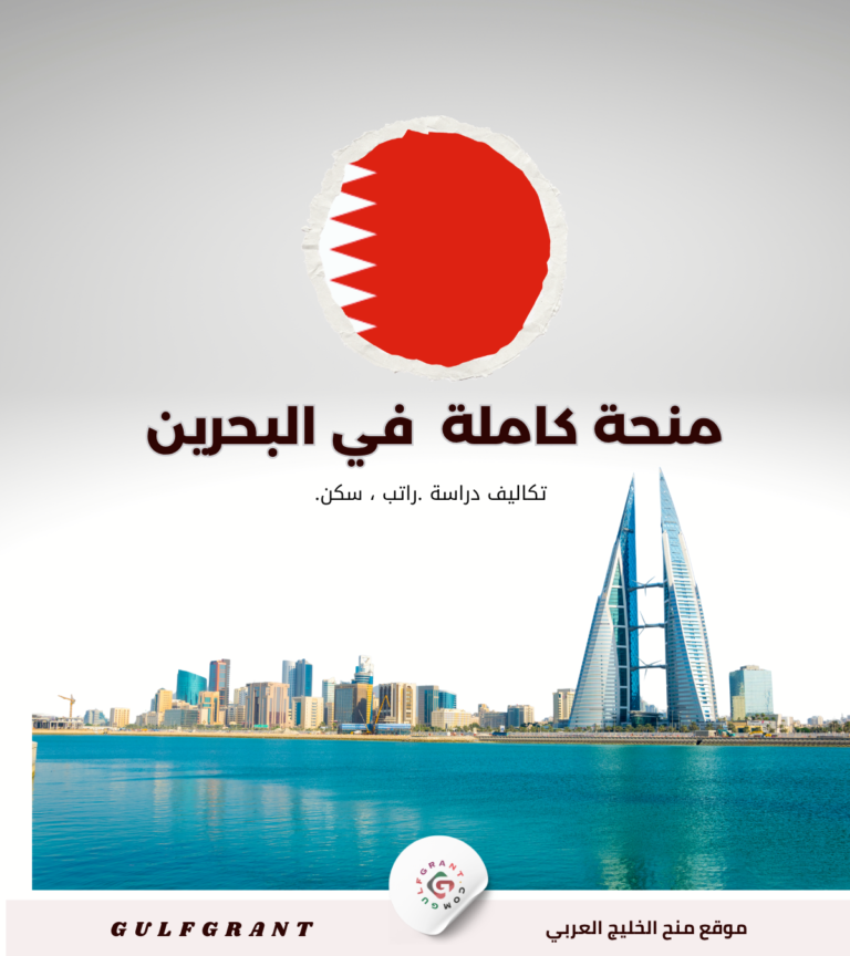 دراسة الأمن السيبراني في البحرين