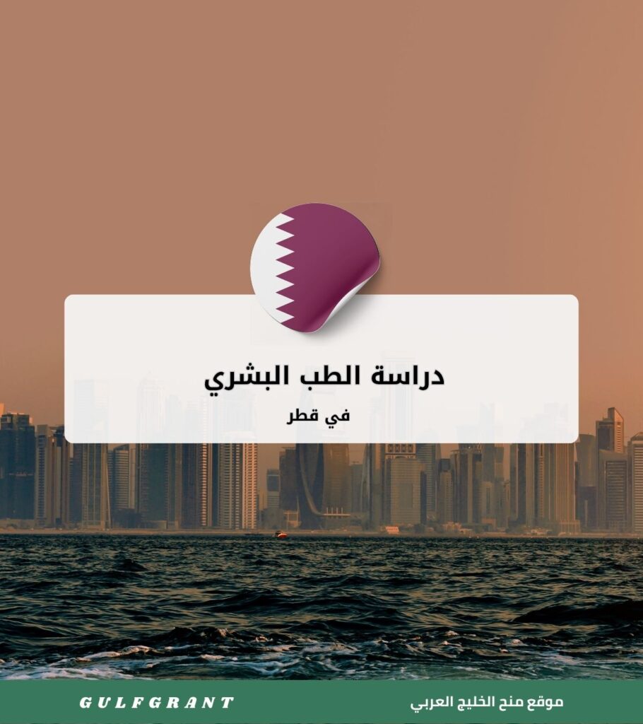 دراسة الطب البشري في قطر