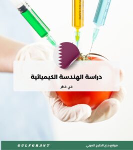 دراسة الهندسة الكيميائية في قطر