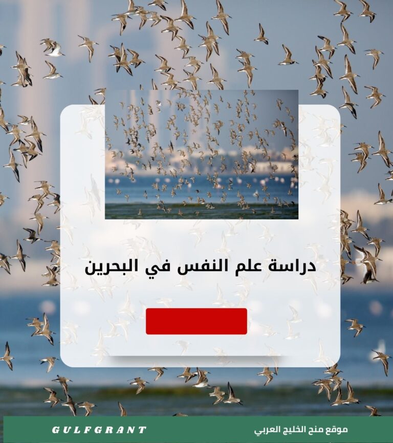 دراسة علم النفس في مملكة البحرين