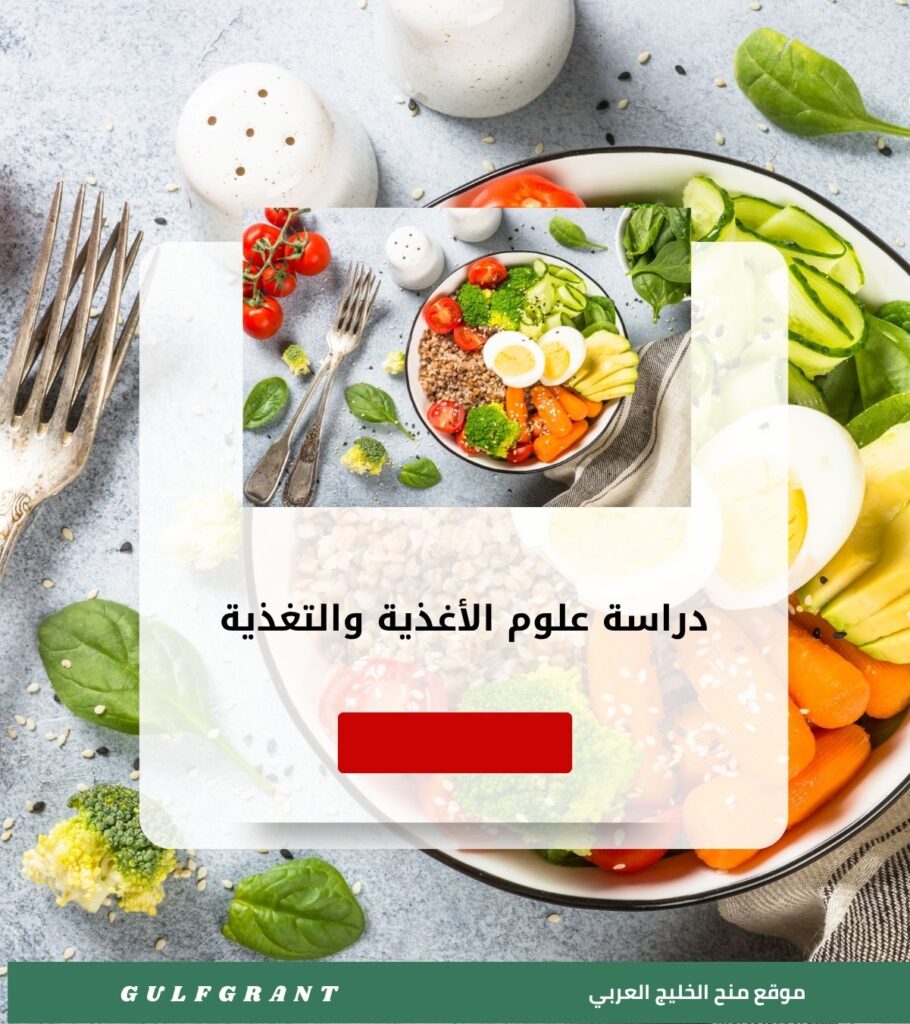 دراسة علوم الأغذية والتغذية