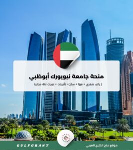 منحة جامعة نيويورك أبوظبي