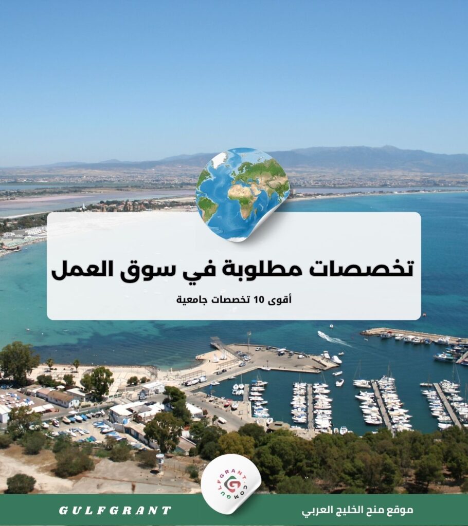 أقوى 10 تخصصات جامعية مطلوبة في سوق العمل الخليجي 2026