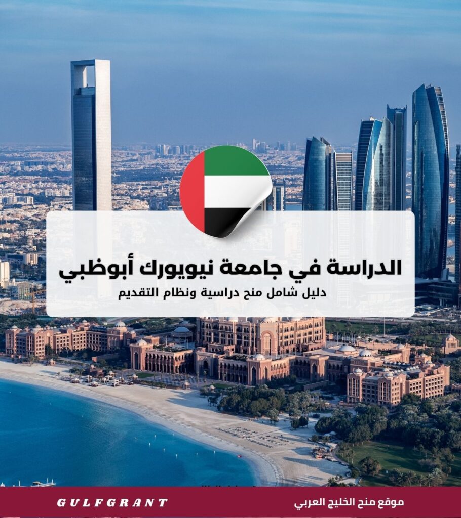 الدراسة في جامعة نيويورك أبوظبي