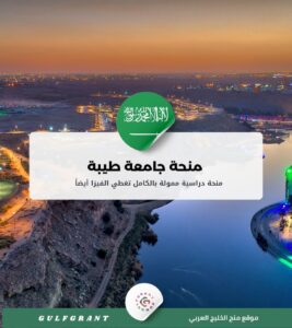 منحة جامعة طيبة